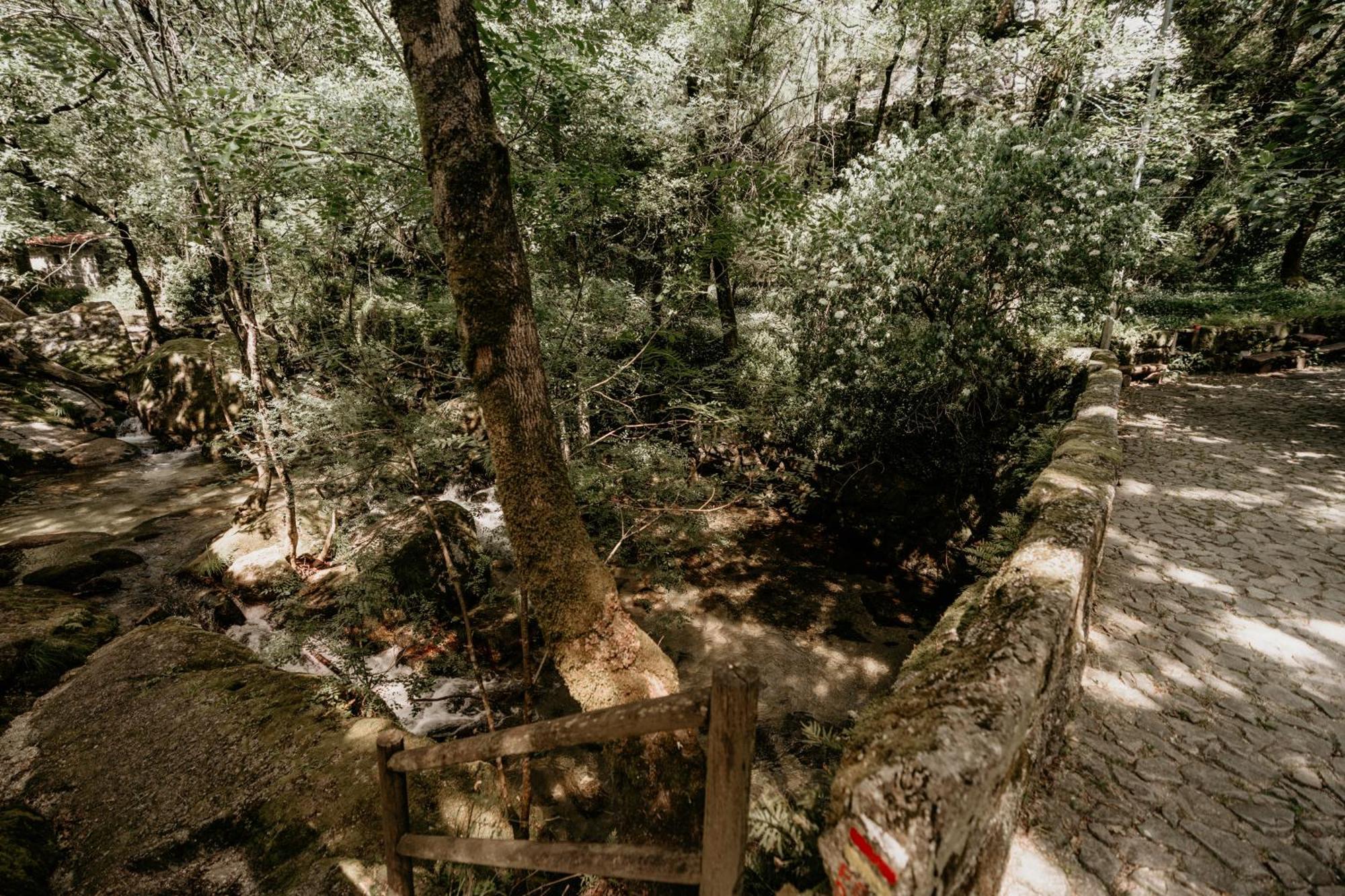 Aldeia Do Pontido Fafe
